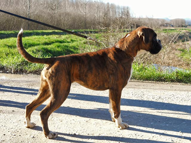 Nina di Casa Bartolini