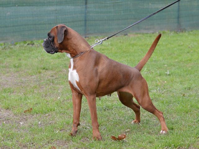 Tinka di Casa Bartolini (known as Taia)