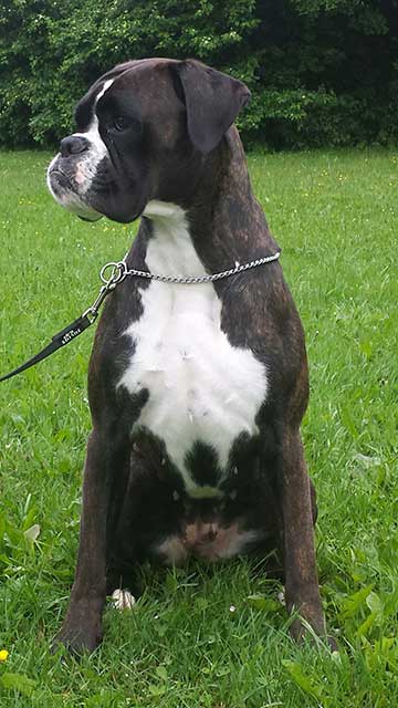 Winona di Casa Bartolini (known as Zoe)