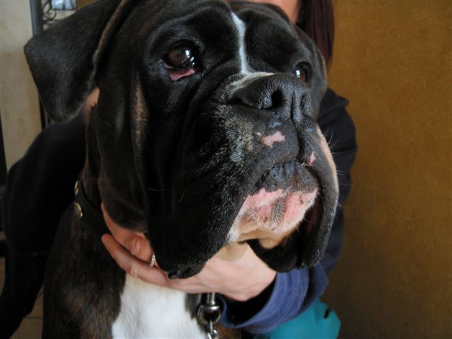 Agata 2 di Casa Bartolini