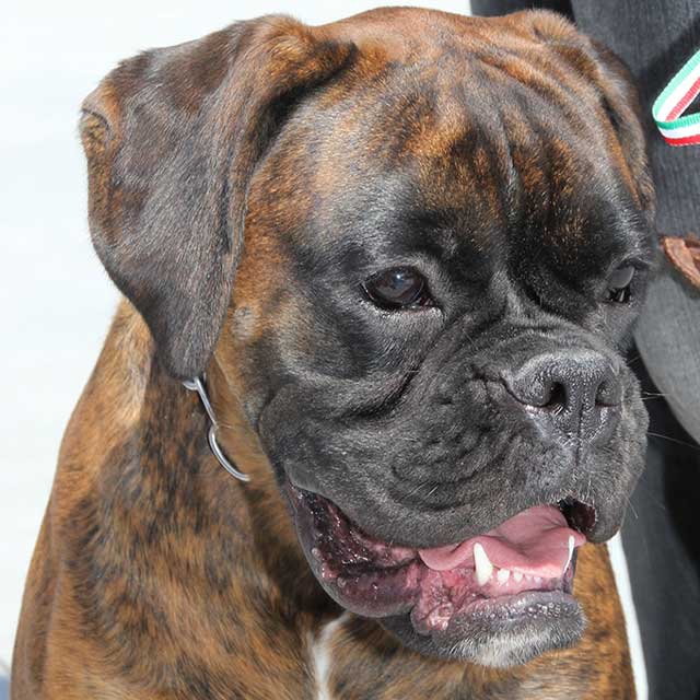 Elsa (detta Chloe) di Casa Bartolini