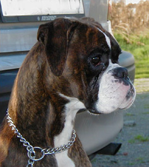 Florida di Casa Bartolini (known as Flo)
