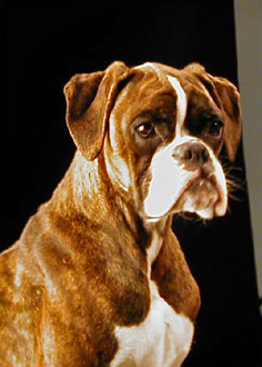 Florida di Casa Bartolini (known as Flo)