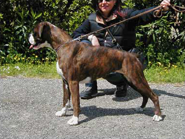 Florida di Casa Bartolini (known as Flo)