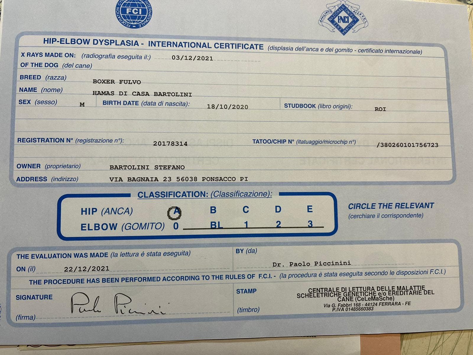 Hamas di Casa Bartolini — Dokumente