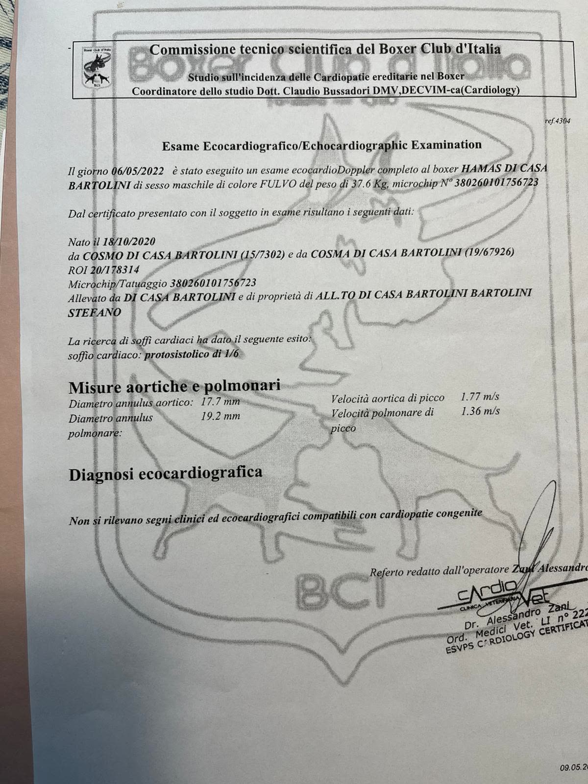 Hamas di Casa Bartolini — Dokumente