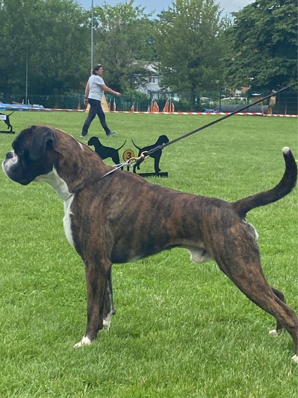 Mika di Casa Bartolini