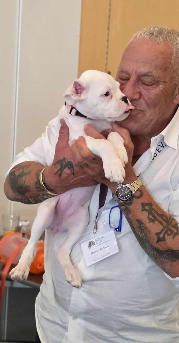Boxer Bianco