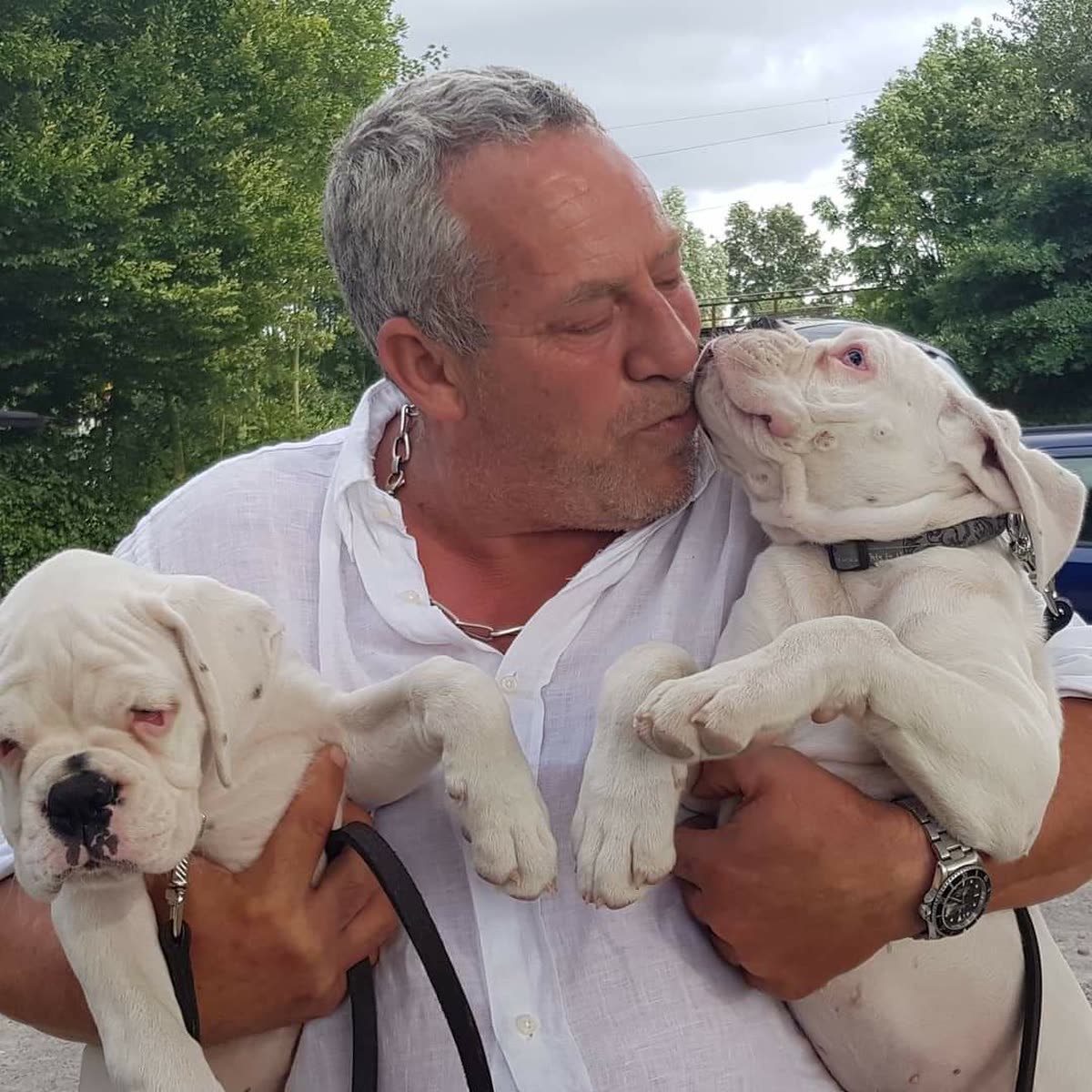 Boxer Bianco