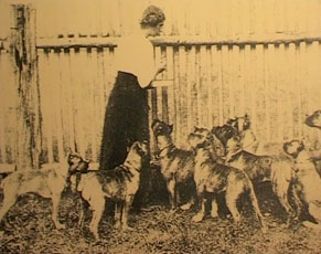 v. Dom kennel, 1912 (Rolf v. Vogelsberg)