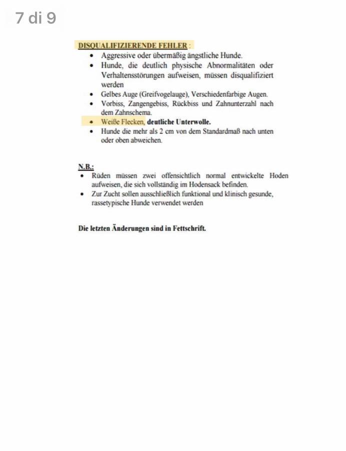Lettera