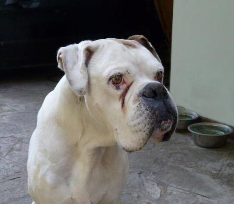Weitere Fotos von Lucky