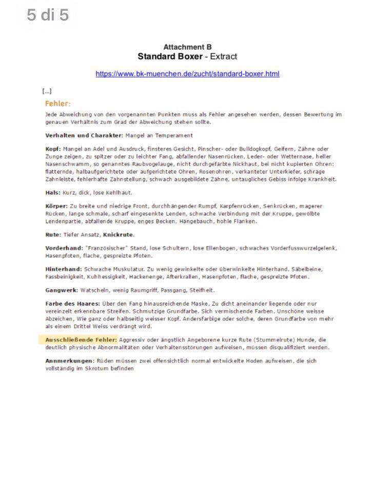 Lettera