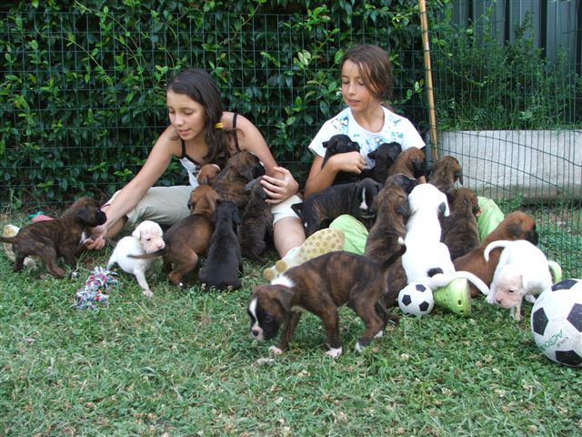 Boxer Bianco