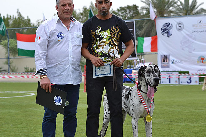 Stefano Bartolini judging at the Bahrain Dog Show 2018