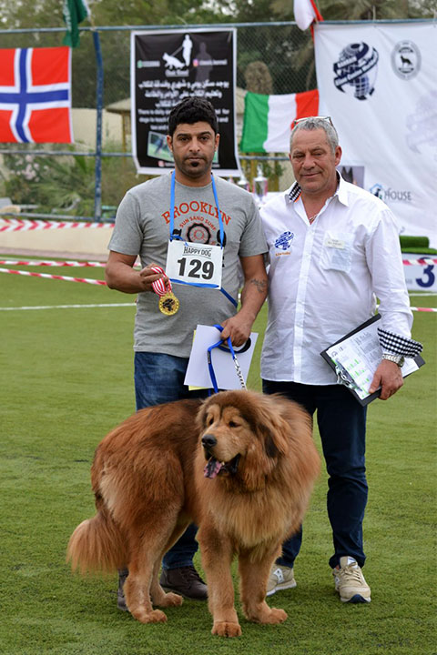 Stefano Bartolini judging at the Bahrain Dog Show 2018