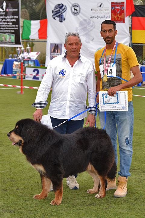 Stefano Bartolini judging at the Bahrain Dog Show 2018
