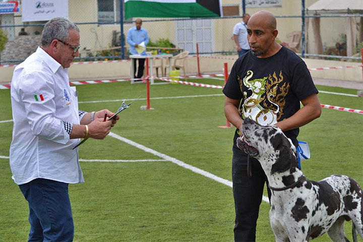 Stefano Bartolini judging at the Bahrain Dog Show 2018