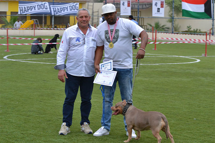 Stefano Bartolini judging at the Bahrain Dog Show 2018