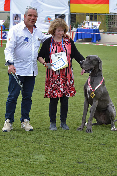 Stefano Bartolini judging at the Bahrain Dog Show 2018