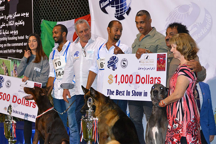 Stefano Bartolini als Richter auf der Bahrain Dog Show 2018