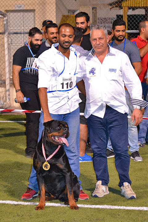 Stefano Bartolini judging at the Bahrain Dog Show 2018