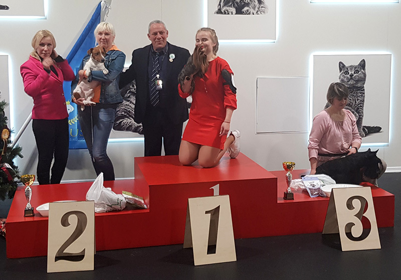 judging in Latvia