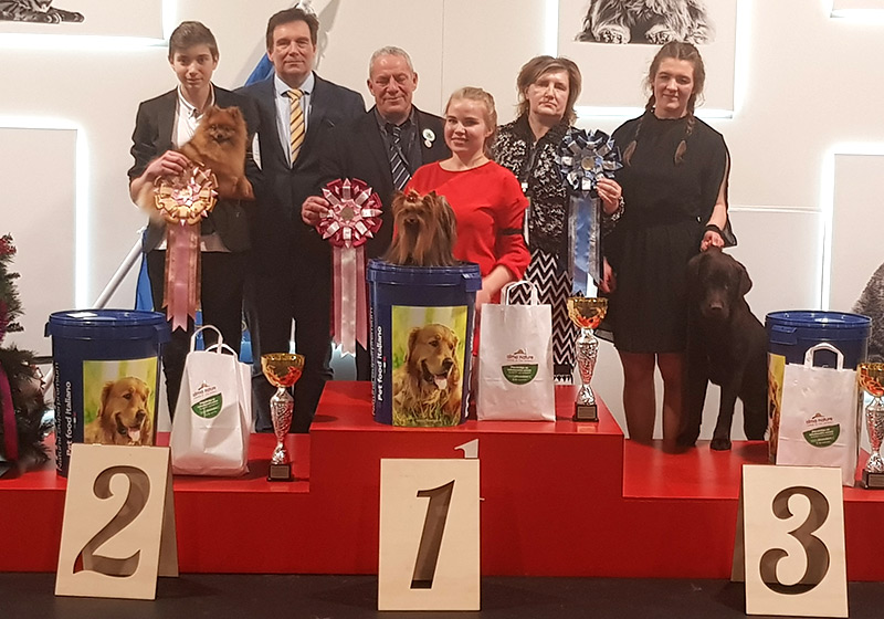 judging in Latvia