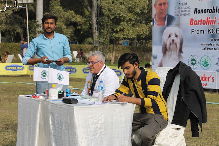 judging in Pakistan