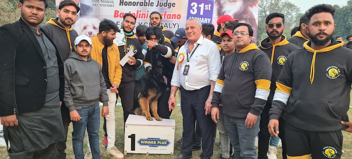 judging in Pakistan