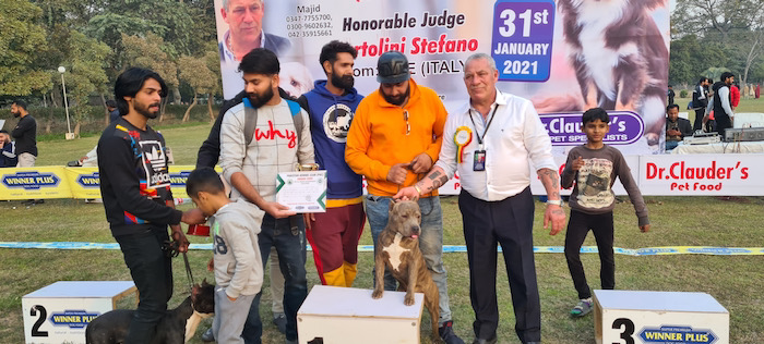 judging in Pakistan