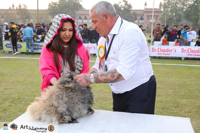 judging in Pakistan