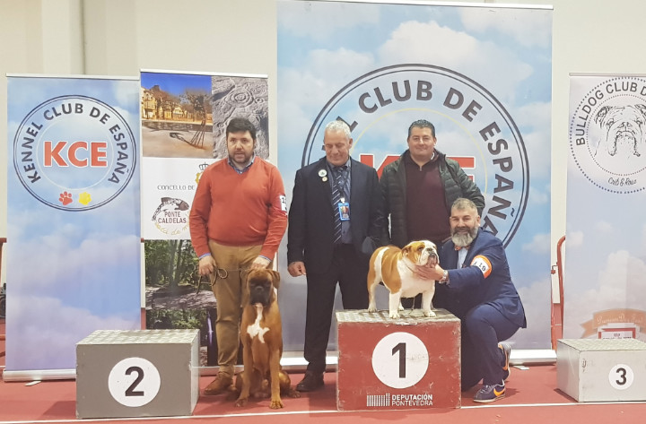 judging in Spain