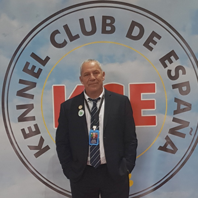 judging in Spain