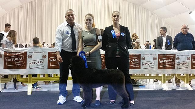 Stefano Bartolini als Richter in Marina d'Or