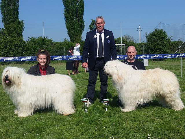 Stefano Bartolini judging at the Augusto Pollacci Memorial