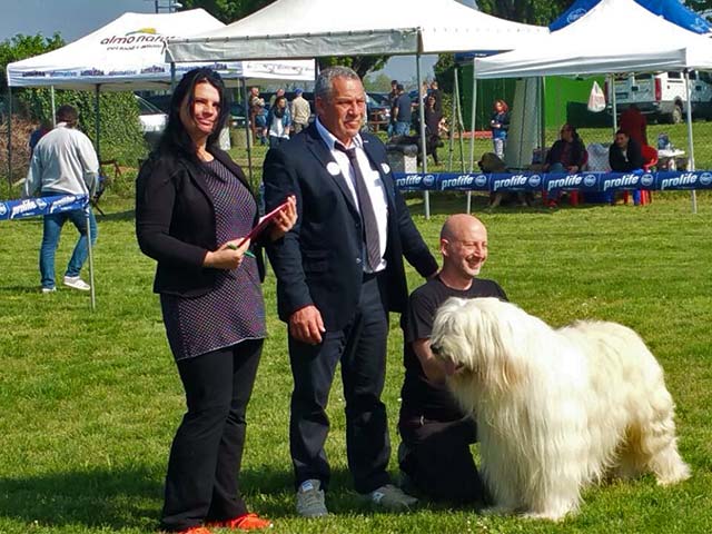 Stefano Bartolini judging at the Augusto Pollacci Memorial