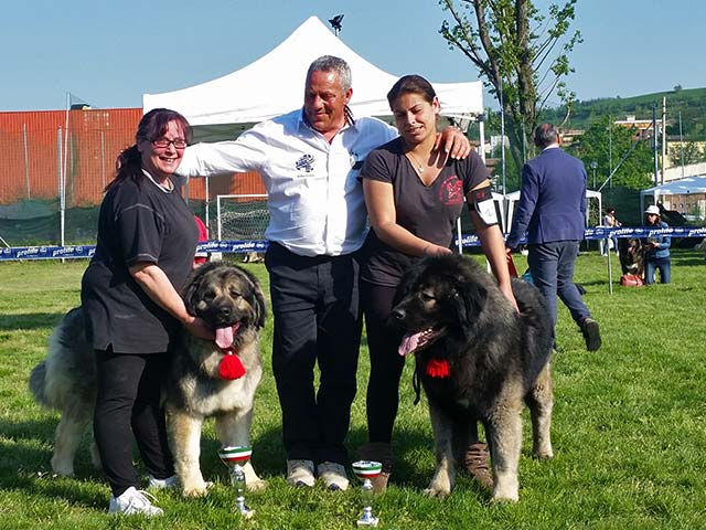 Stefano Bartolini judging at the Augusto Pollacci Memorial