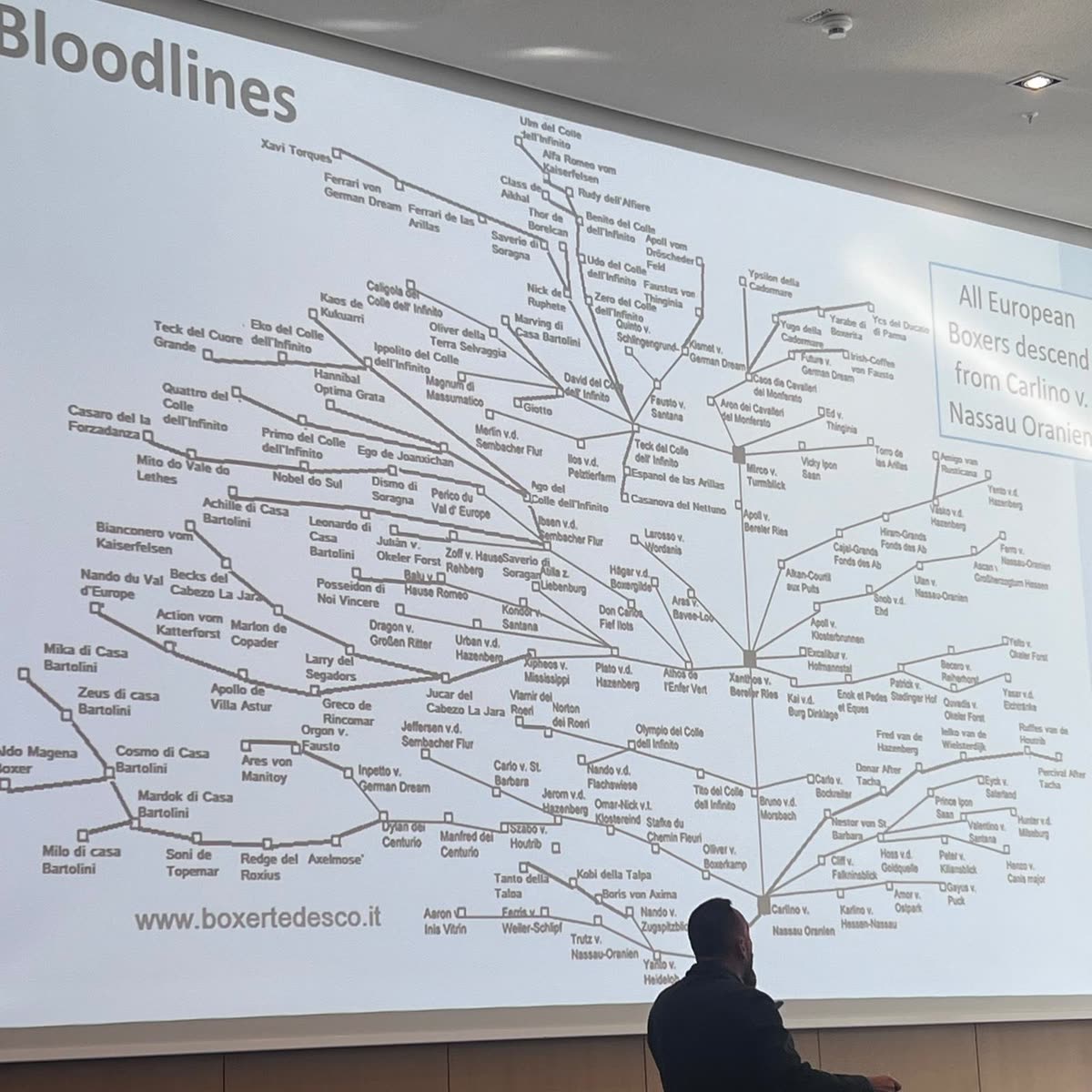 Welt-Boxer-Symposium 2026