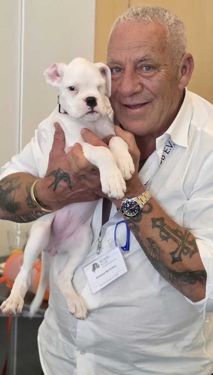 Welt-Boxer-Symposium 2026