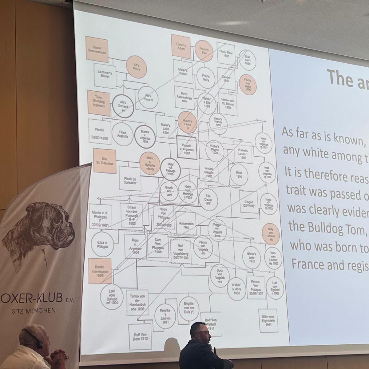 Welt-Boxer-Symposium 2026