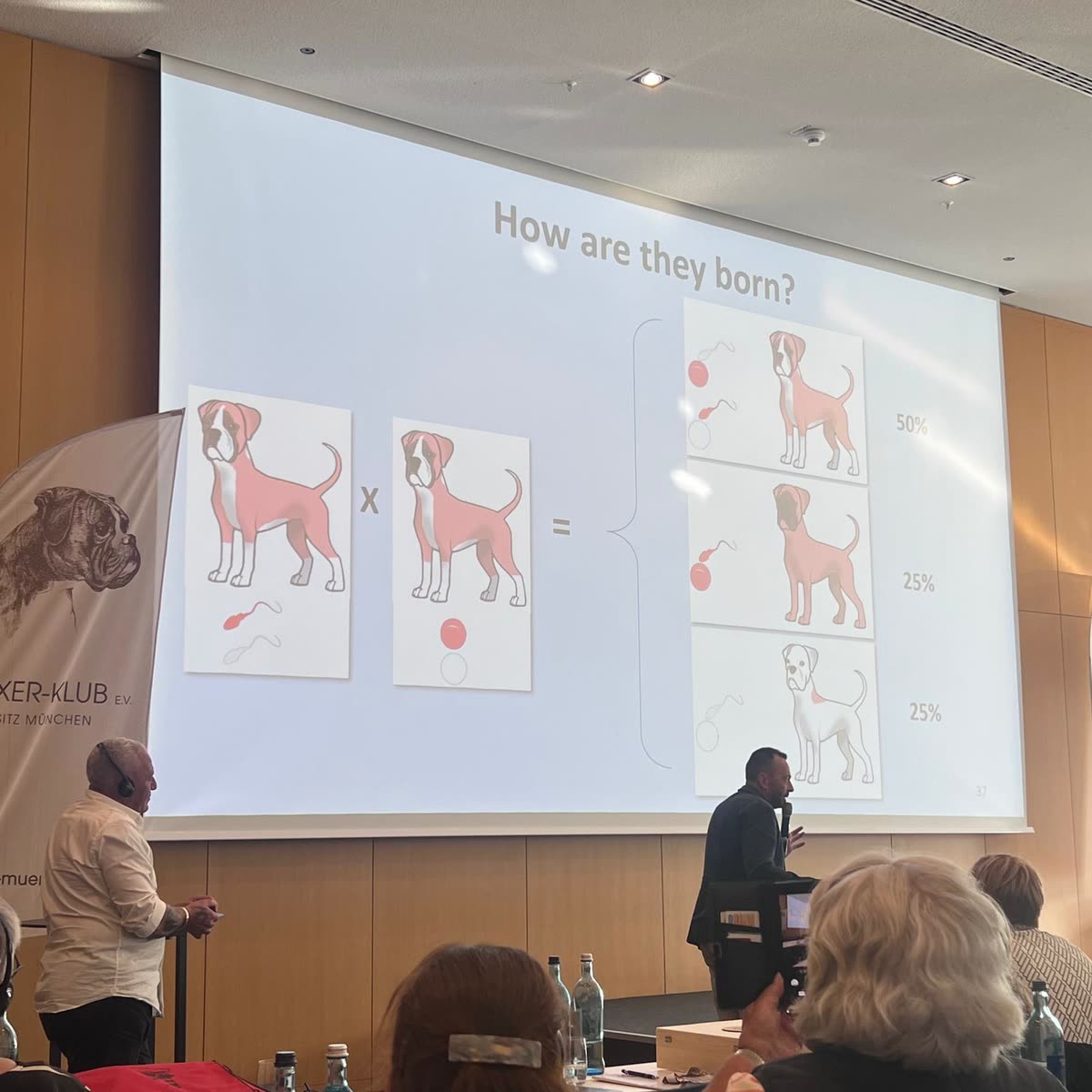 Welt-Boxer-Symposium 2026