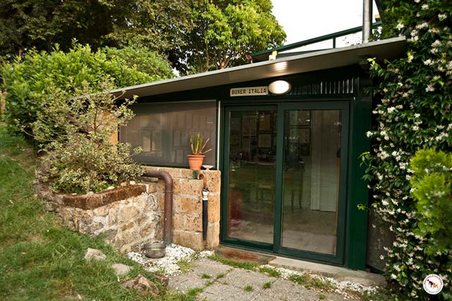 Boxerzucht Casa Bartolini