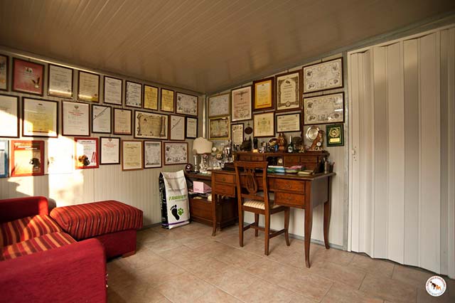Boxerzucht Casa Bartolini