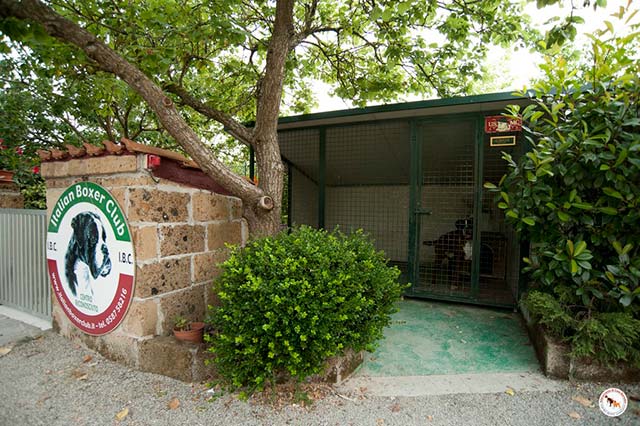 Boxerzucht Casa Bartolini