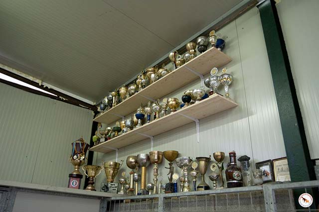 Boxerzucht Casa Bartolini