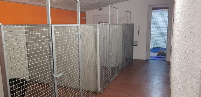 Zucht Casa Bartolini, Standort Potenza
