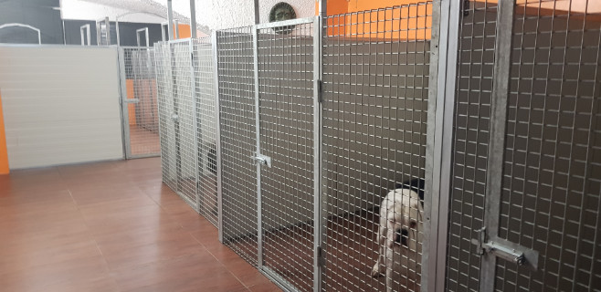 Zucht Casa Bartolini, Standort Potenza