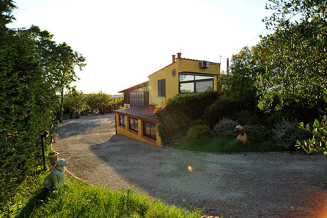 Boxerzucht Casa Bartolini