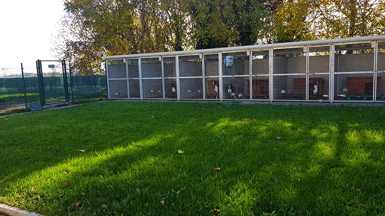 Casa Bartolini kennel, Parma branch